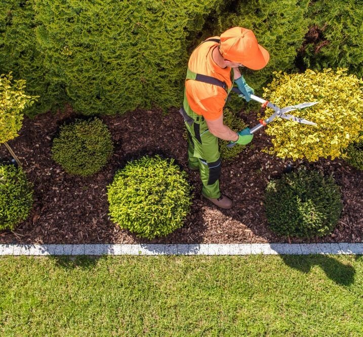 Garden Maintenance